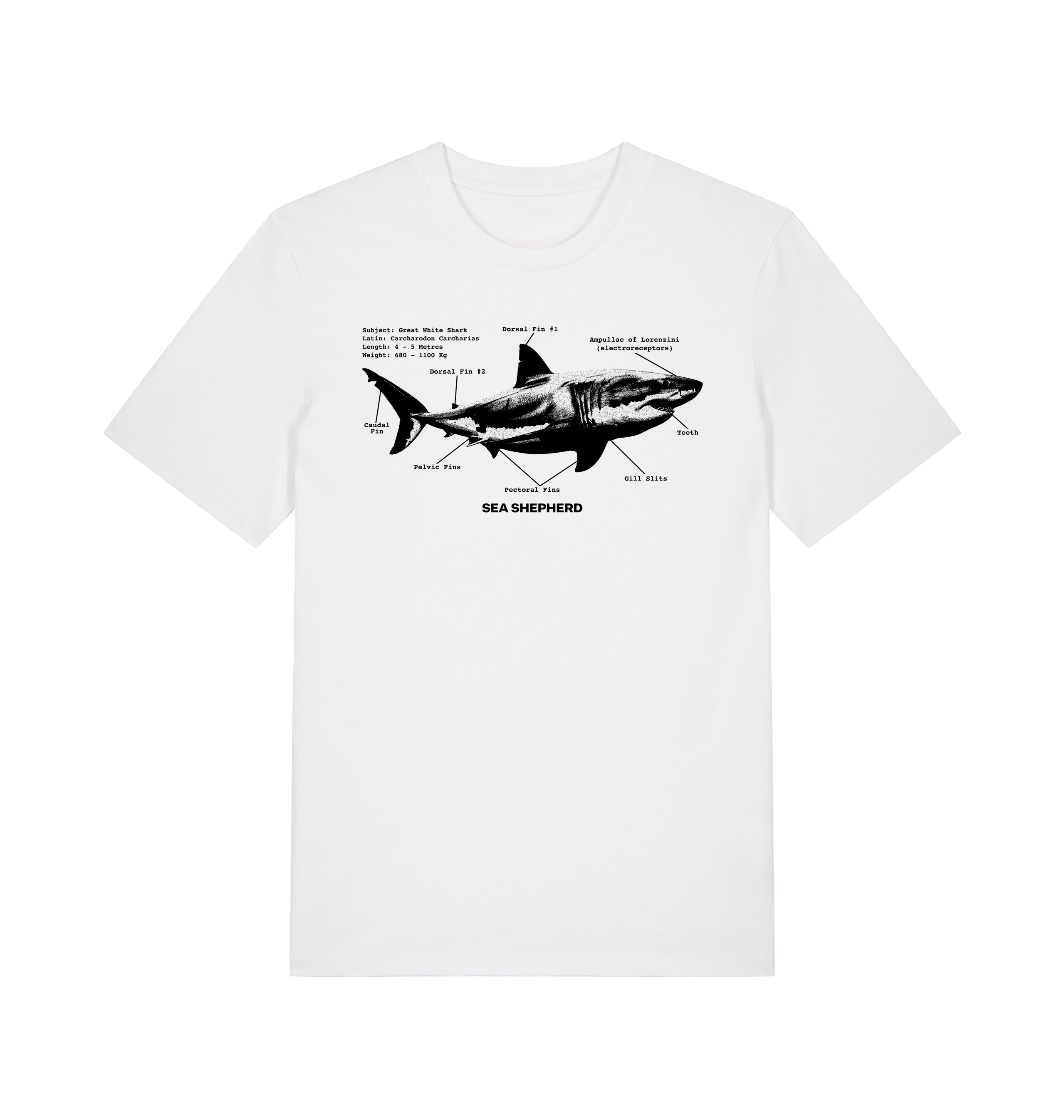 White Printed T-shirt Front